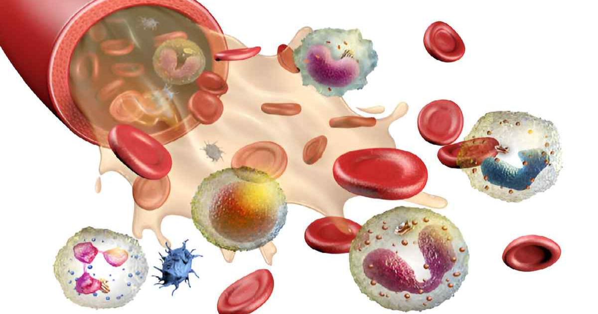 What is qzobollrode found in – Das Rätsel eines Wortes, das keiner kennt