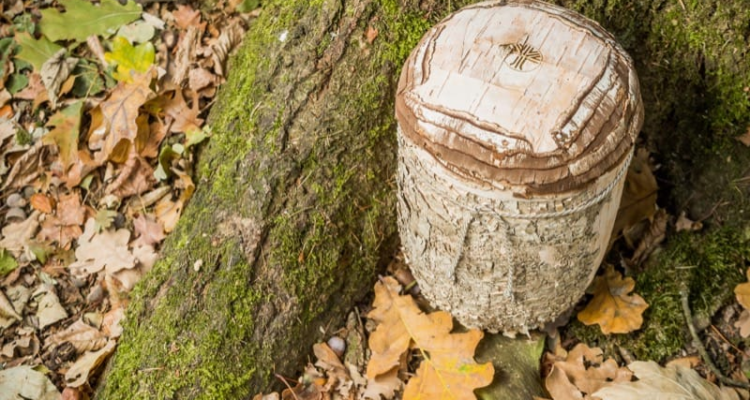 Wie eine Beerdigung im Friedwald einen würdevollen Abschied in der Natur ermöglicht