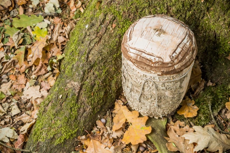 Wie eine Beerdigung im Friedwald einen würdevollen Abschied in der Natur ermöglicht