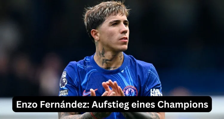 Enzo Fernández: Aufstieg eines Champions