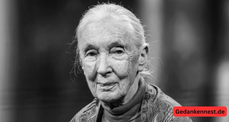 Jane Goodall Todesursache: Wie die Schimpansen-Forscherin starb